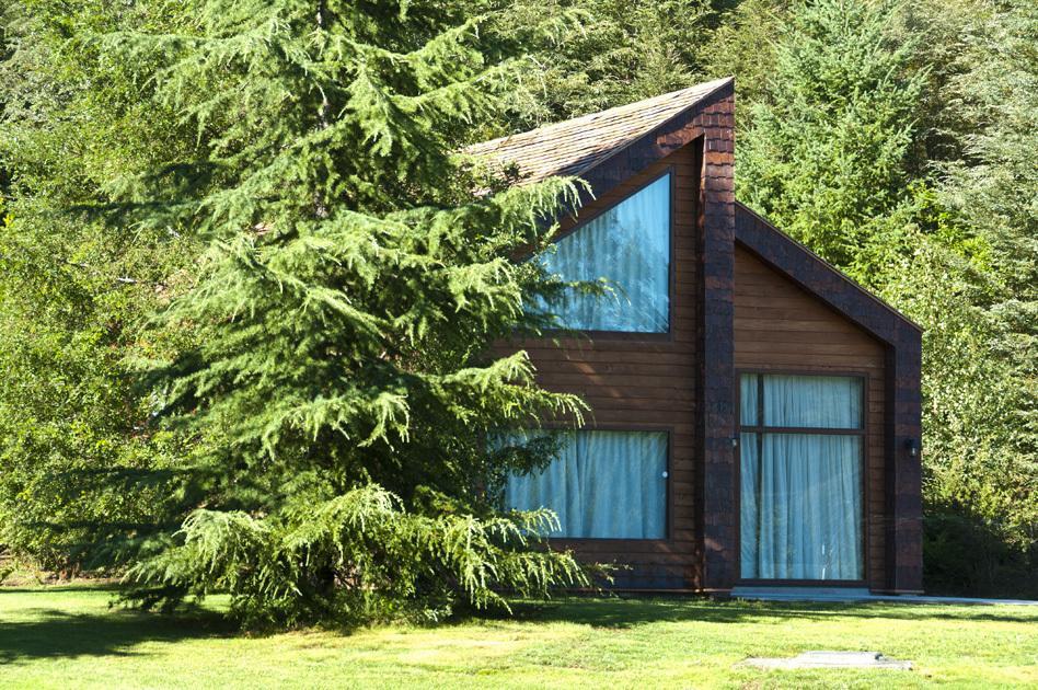 Cabanas Patagonia Lefun Pucón Extérieur photo