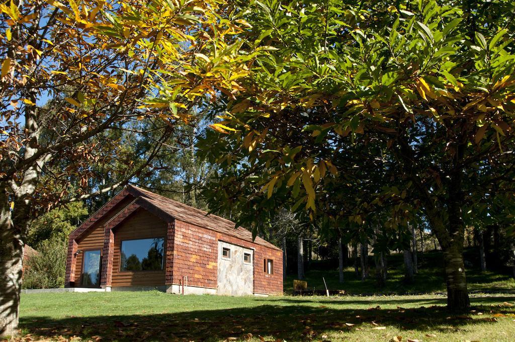 Cabanas Patagonia Lefun Pucón Extérieur photo