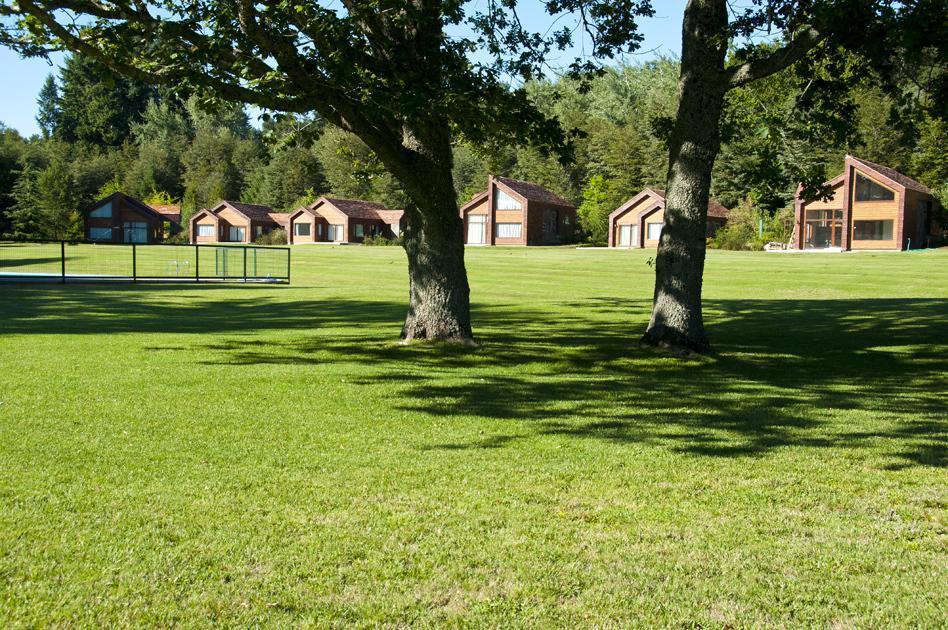 Cabanas Patagonia Lefun Pucón Extérieur photo